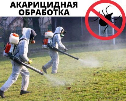 клещи